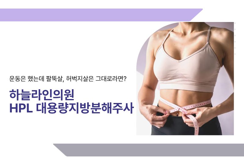 성수동 비만클리닉 HPL 대용량 지방분해주사