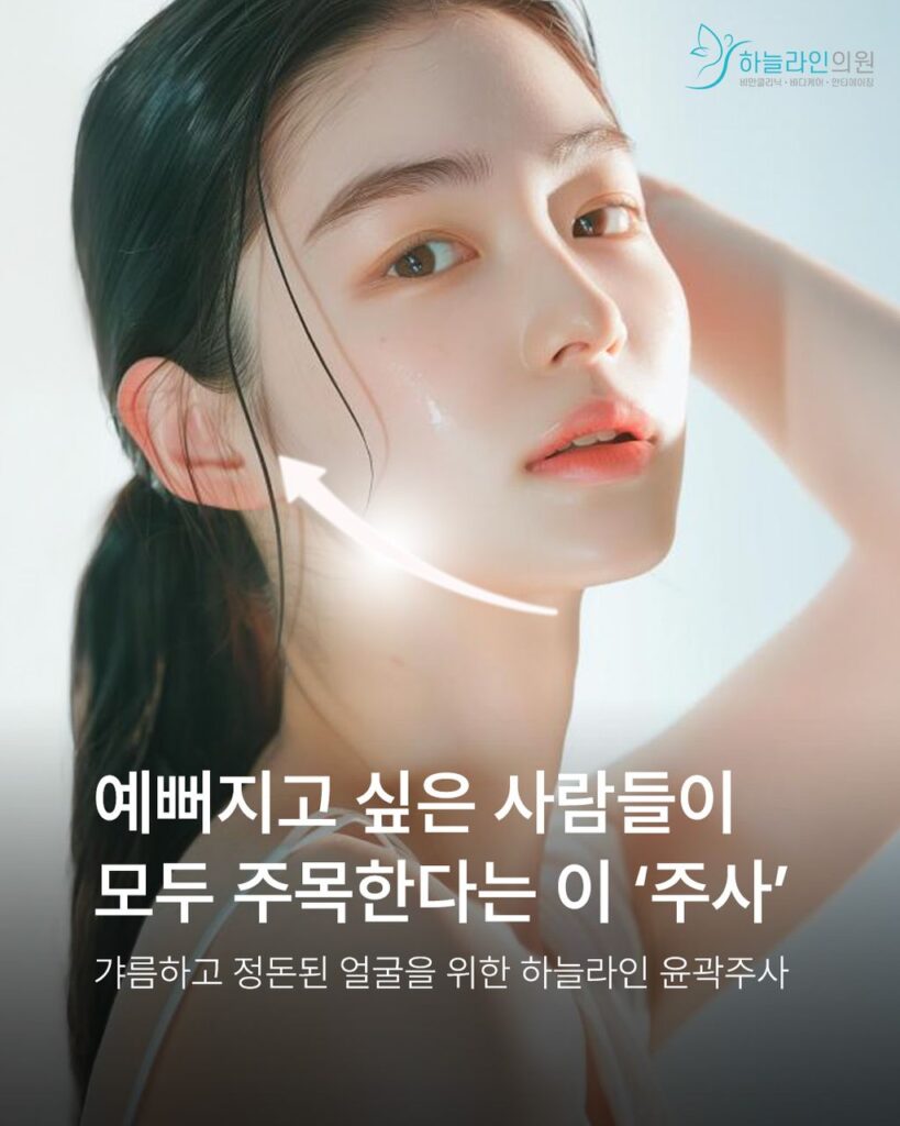 이중턱 윤곽주사 브이핏