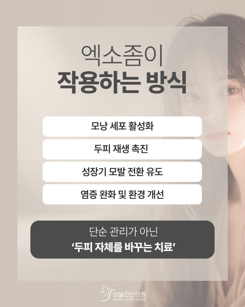 엑소좀 작용방식