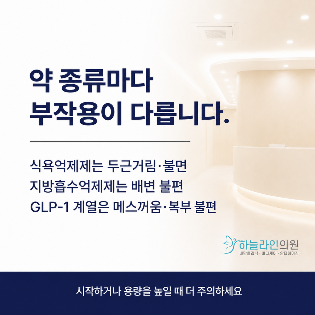 다이어트약부작용