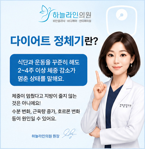다이어트 정체기란