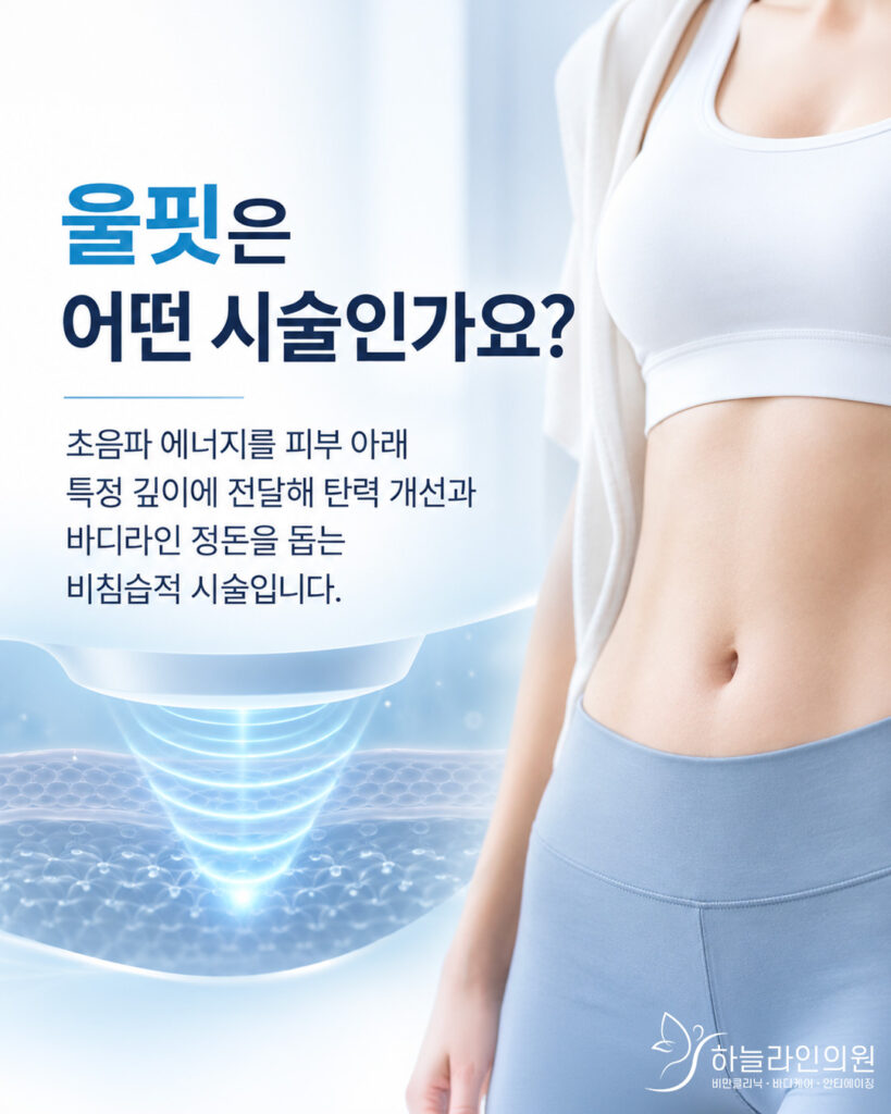 바디탄력 울핏2